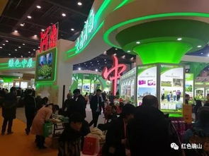 老区农产品闪耀国际舞台 美工设计点亮全球视野